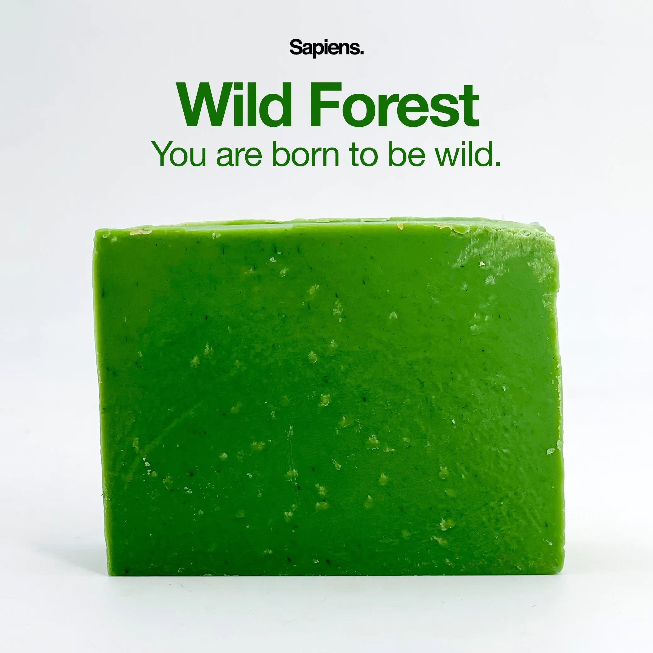 Savon solide Wild Forest.